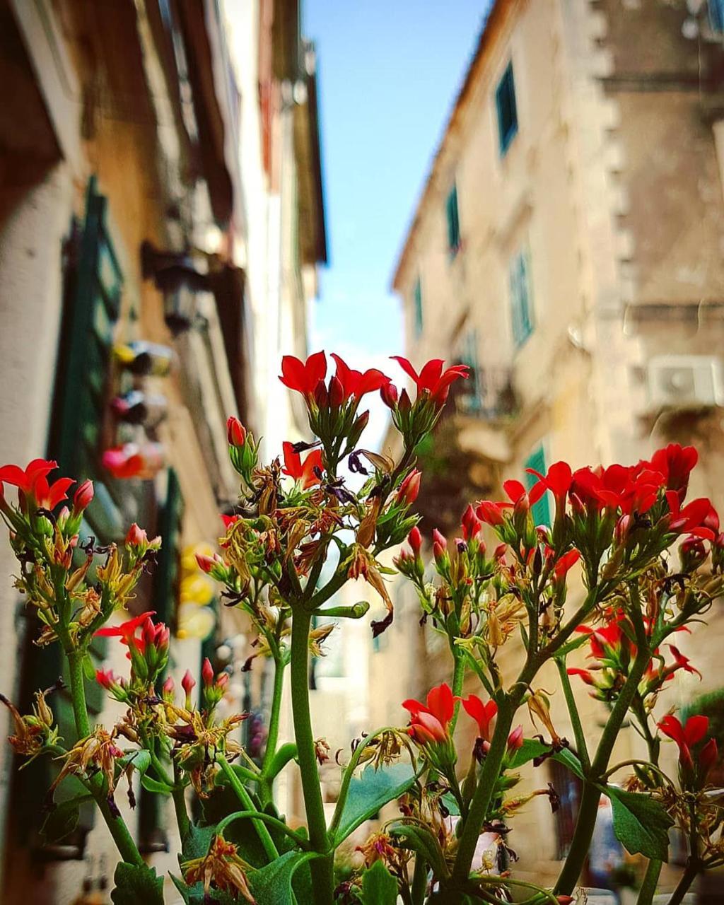 Kotor Bagus - Cozy Boutique Old Town Studio With Seaview Terrace Екстериор снимка